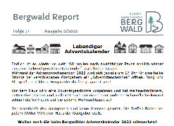 BGBergwald-2022-2.pdf